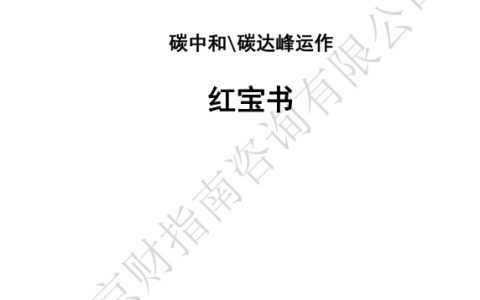 碳中和碳达峰运作红宝书（165页）