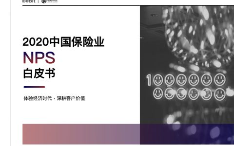 明略科技：2020中国保险业NPS白皮书（45页）