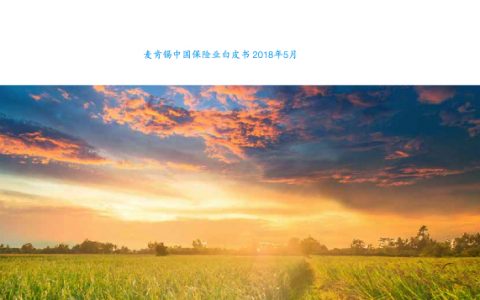 布局中国农村保险市场：广阔天地，大有作为