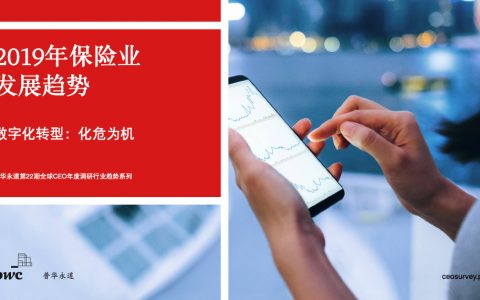 普华永道：2019年保险业发展趋势——数字化转型，化危为机（12页）