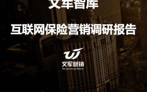 文军智库：互联网保险营销调研报告（31页）