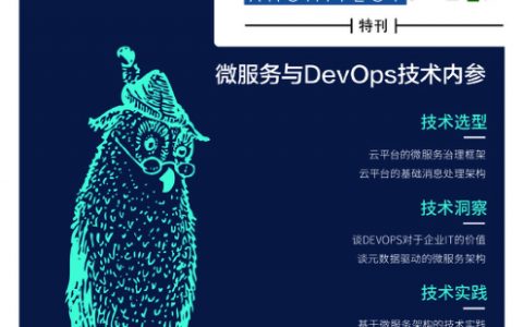 架构精选：微服务与DevOps技术内参