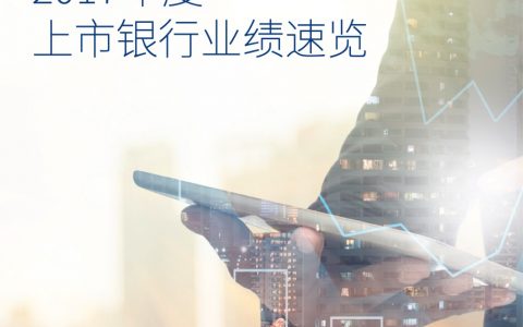 毕马威：2017年度上市银行业绩速览（19页）