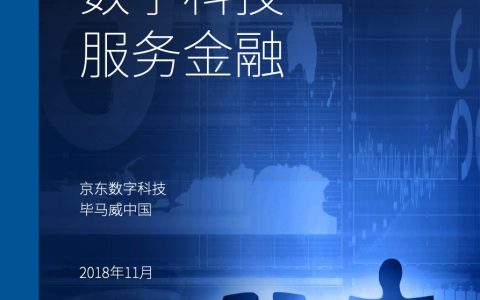 毕马威：2018数字科技服务金融（48页）