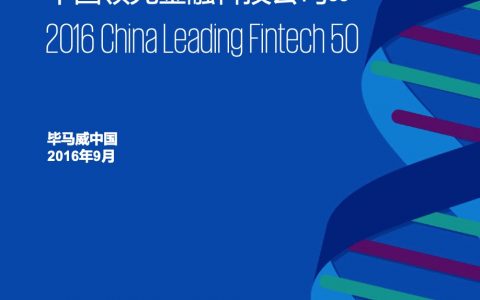 毕马威：2016中国领先金融科技公司50（77页）