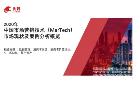 2020年中国市场营销技术MarTech市场现状及案例分析概览（27页）