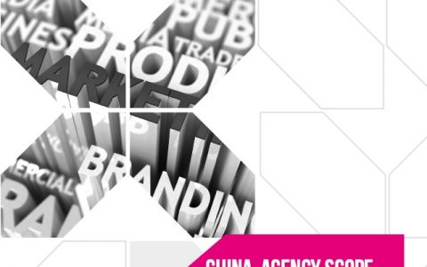 胜三：中国营销趋势研究（37页）