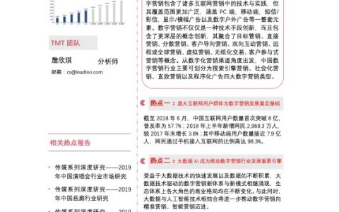 2019年中国数字营销行业市场研究（47页）