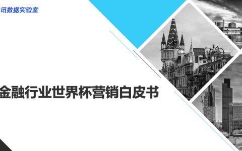 银行营销：腾讯数据实验室：金融行业世界杯营销白皮书