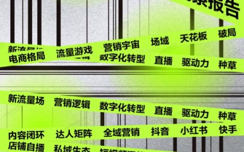 2022品牌线上营销流量观察报告简版（71页）