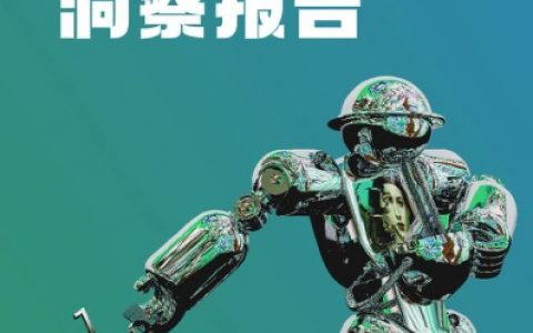 虎啸：数字营销与企业数字化转型（50页）