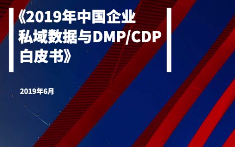 纷析智库：2019年中国企业私域数据与DMP_CDP白皮书（136页）