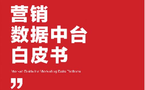 秒针：2019营销数据中台白皮书（29页）