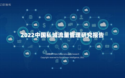 2022中国私域流量管理研究报告（37页）