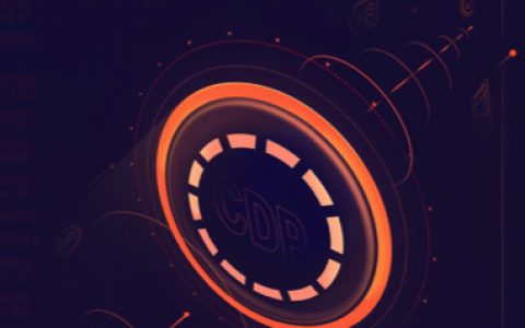 CDP 实操指南