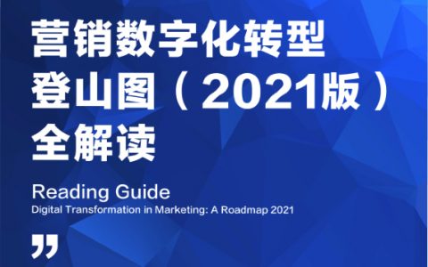 秒针：营销数字化转型登山图2021版（58页）
