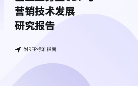 企业业务型CDP与营销技术发展研究报告附RFP标准指南（76页）