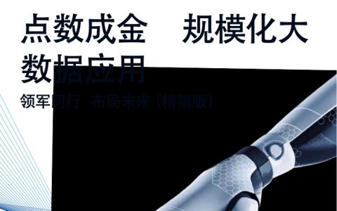 麦肯锡：中国银行业CEO季刊2019冬季刊_精简版(286页)