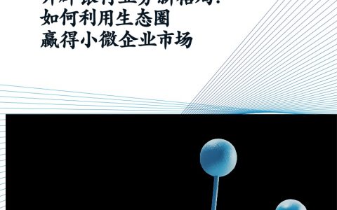 麦肯锡：2019开辟银行业务新格局_如何利用生态圈赢得小微企业市场