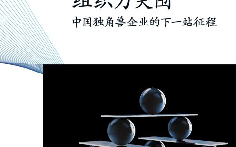 麦肯锡：组织力突围——中国独角兽企业的下一站征程（16页）