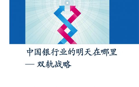 麦肯锡：中国银行业的明天在哪里— 双轨战略（46页）