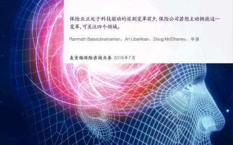 麦肯锡：保险2030——人工智能将如何改写保险业（12页）