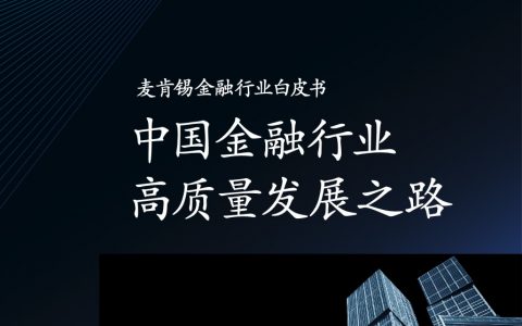 麦肯锡：2019中国金融行业高质量发展之路（70页）