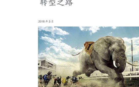 麦肯锡：中国银行业敏捷转型白皮书