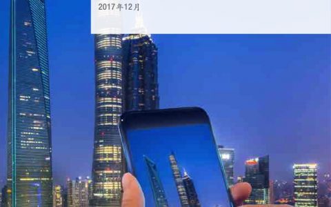 麦肯锡：数字时代的中国-打造具有全球竞争力的新经济（162页）
