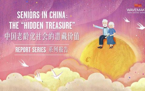 Wavemaker：中国老龄化社会的潜藏价值(45页)