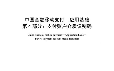 中国金融移动支付 应用基础 第4部分：支付账户介质识别码