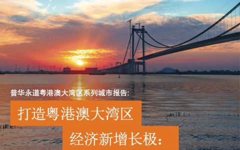 普华永道：打造粤港澳大湾区经济新增长极——东莞篇(32页)