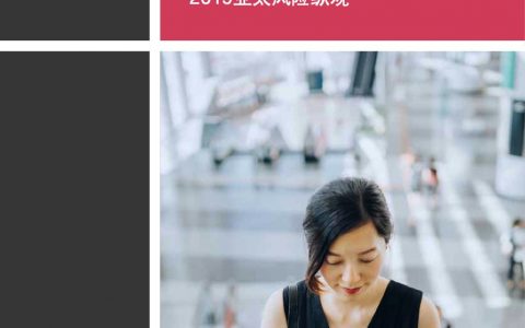 普华永道：2019 亚太风险纵观——在数字化新纪元成为更睿智的冒险家(28页)