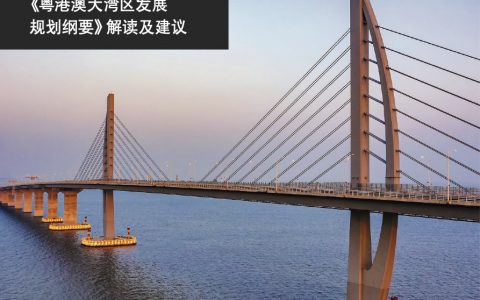 普华永道：粤港澳大湾区发展规划纲要解析（16页）