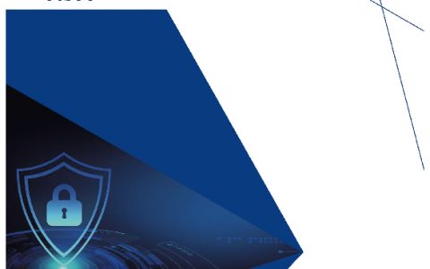 京东金融：数字金融反欺诈白皮书（54页）