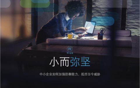 思科：2019 网络安全报告系列—中小企业如何加强防御能力，抵挡当今威胁（13页）