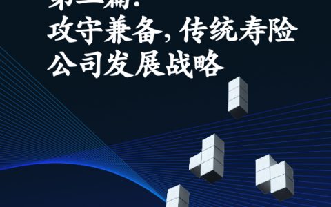 麦肯锡：大财富管理风口下探索寿险行业制胜战略系列报告第二篇攻守兼备传统寿险公司发展战略（25页）