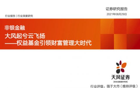 权益基金引领财富管理大时代大风起兮云飞扬（39页）
