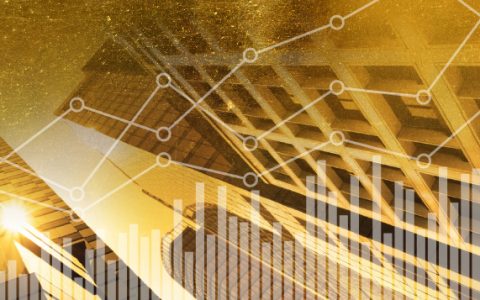 黄金在财富管理中的作用-英文版（176页）